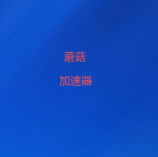 VPN加速器