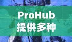 ProHub提供多种免费的加速器服务，帮助用户解决常见网络问题，适用于视频加速、文件上传和下载速度慢等场景。以下是一些具体的使用方法和信息
