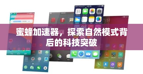 蜜蜂加速器,探索自然模式背后的科技突破 蜜蜂加速器,探索自然模式背后的科技突破