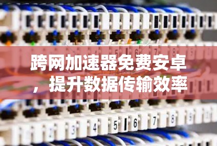 跨网加速器免费安卓，提升数据传输效率的高效选择