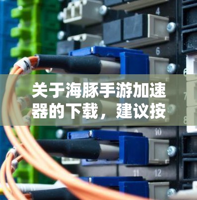 关于海豚手游加速器的下载,建议按照以下步骤进行 关于海豚手游加速器的下载,建议按照以下步骤进行