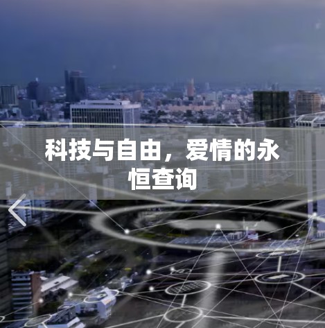 科技与自由，爱情的永恒查询