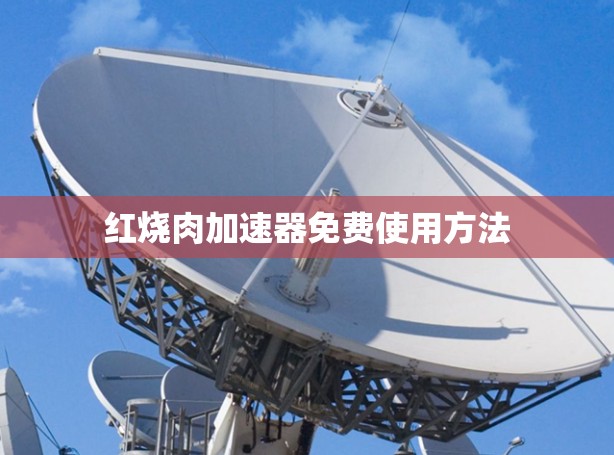 红烧肉加速器免费使用方法