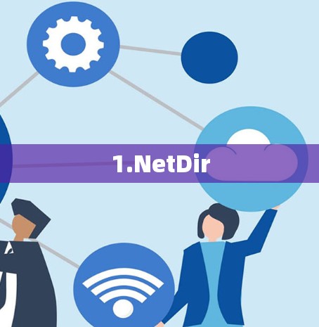 1.NetDir