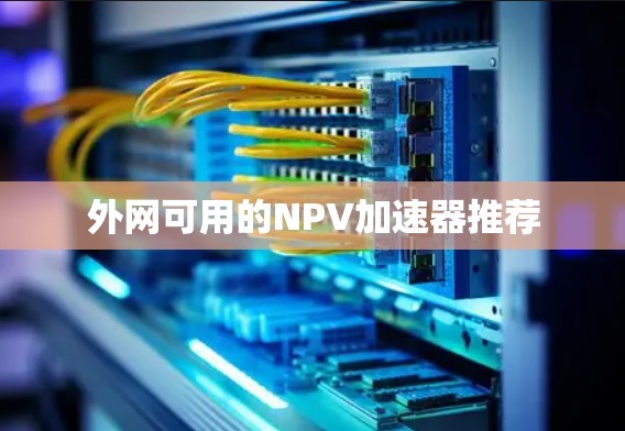 外网可用的NPV加速器推荐 外网可用的NPV加速器推荐