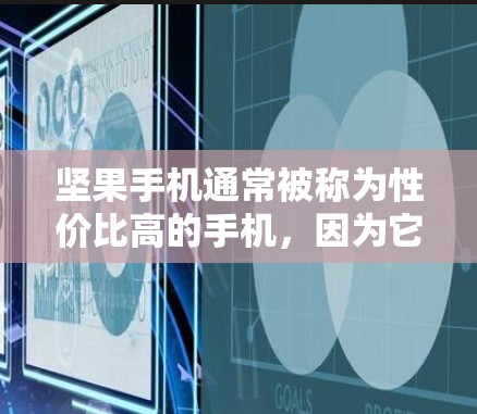 坚果手机通常被称为性价比高的手机，因为它在性能和价格之间达到了一个平衡。如果你正在寻找坚果手机附近有高速网络的地点，以下是一些建议