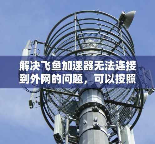 解决飞鱼加速器无法连接到外网的问题，可以按照以下步骤进行