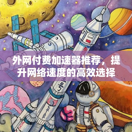外网付费加速器推荐，提升网络速度的高效选择