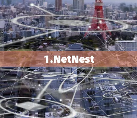 1.NetNest