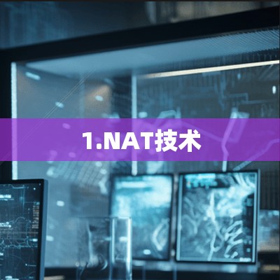 1.NAT技术