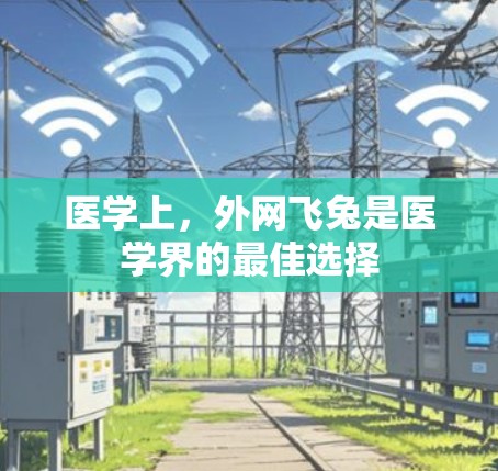 医学上,外网飞兔是医学界的最佳选择 医学上,外网飞兔是医学界的最佳选择