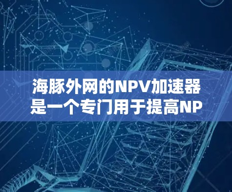 海豚外网的NPV加速器是一个专门用于提高NPV（净现值）计算效率和简化NPV分析的工具。以下是对其功能的详细解释