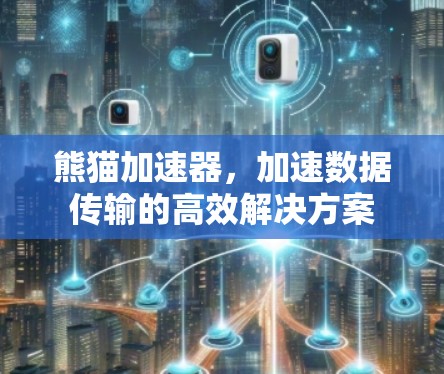 熊猫加速器，加速数据传输的高效解决方案