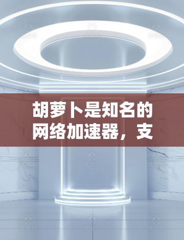 胡萝卜是知名的网络加速器，支持用户在本地安装并连接到外部网络，从而获得更快的网络速度。胡萝卜网络加速器通过流量管理、自动加速等技术，帮助用户提升网络使用效率