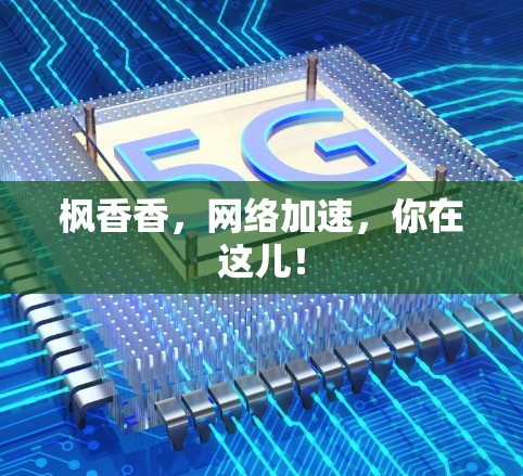 枫香香，网络加速，你在这儿！