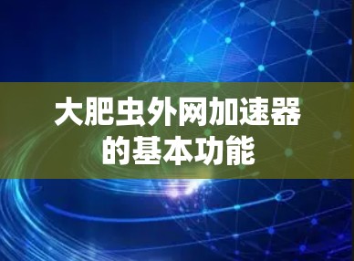 大肥虫外网加速器的基本功能