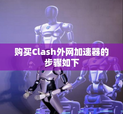 购买Clash外网加速器的步骤如下