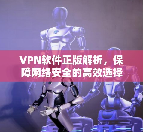 VPN软件正版解析,保障网络安全的高效选择 VPN软件正版解析,保障网络安全的高效选择