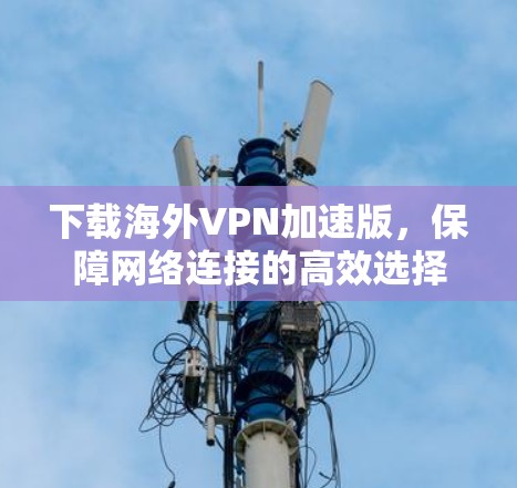 下载海外VPN加速版，保障网络连接的高效选择