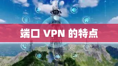 端口 VPN 的特点