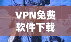 VPN免费软件下载,选择与使用指南 VPN免费软件下载,选择与使用指南