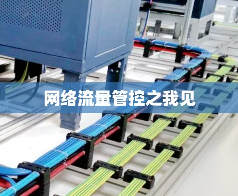 网络流量管控之我见 网络流量管控之我见