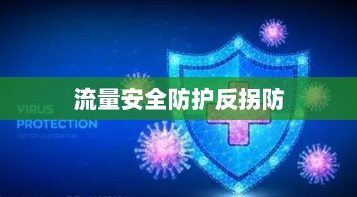 流量安全防护反拐防