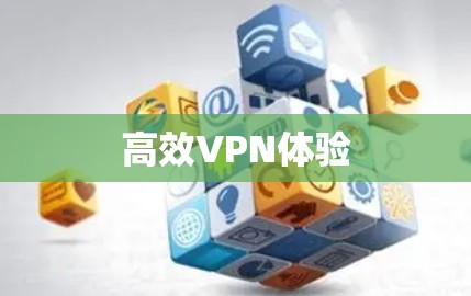 高效VPN体验 高效VPN体验