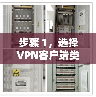 步骤 1，选择VPN客户端类型