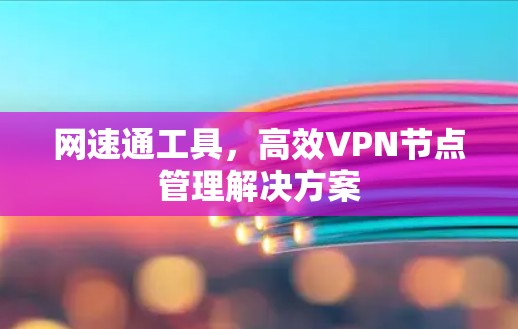 网速通工具，高效VPN节点管理解决方案