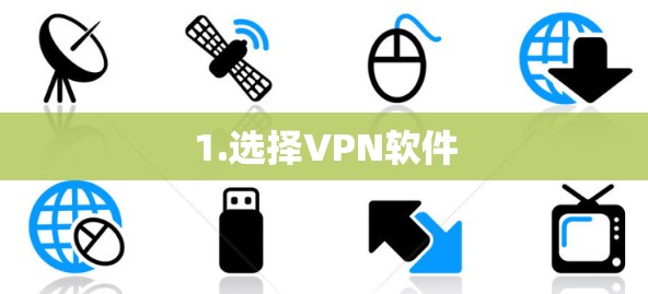 1.选择VPN软件