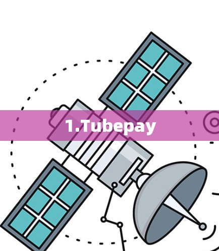 1.Tubepay