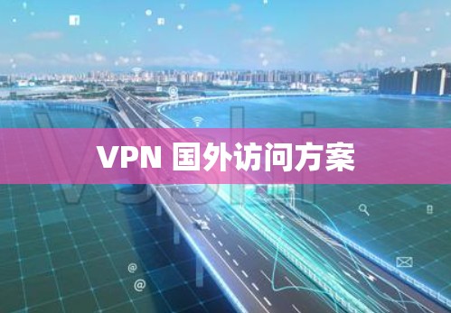 VPN 国外访问方案
