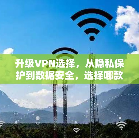 升级VPN选择，从隐私保护到数据安全，选择哪款更合适？