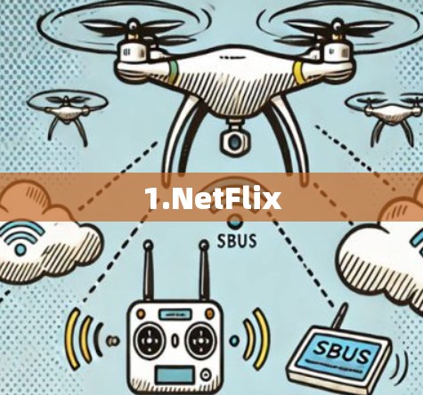 1.NetFlix